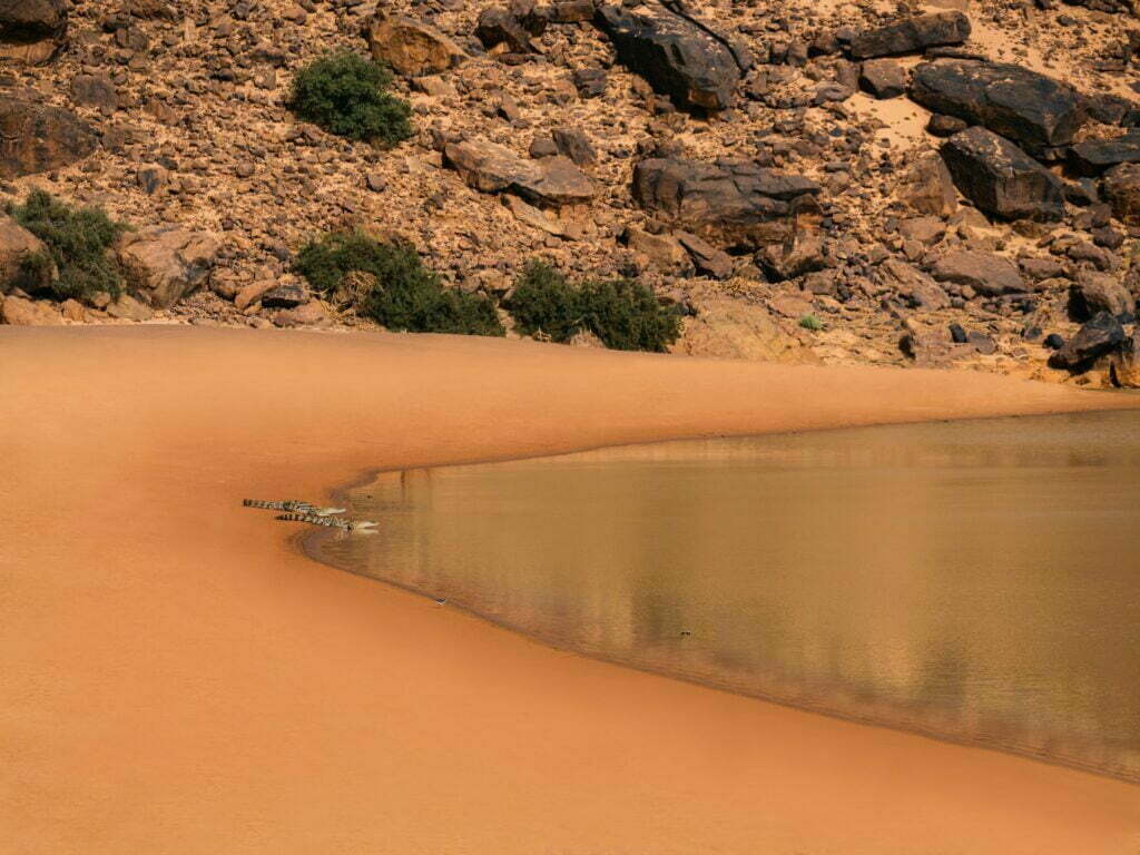 The Matmata Guelta containing the desert crocodiles in the Tagant region of the Sahara Desert of Mauritania