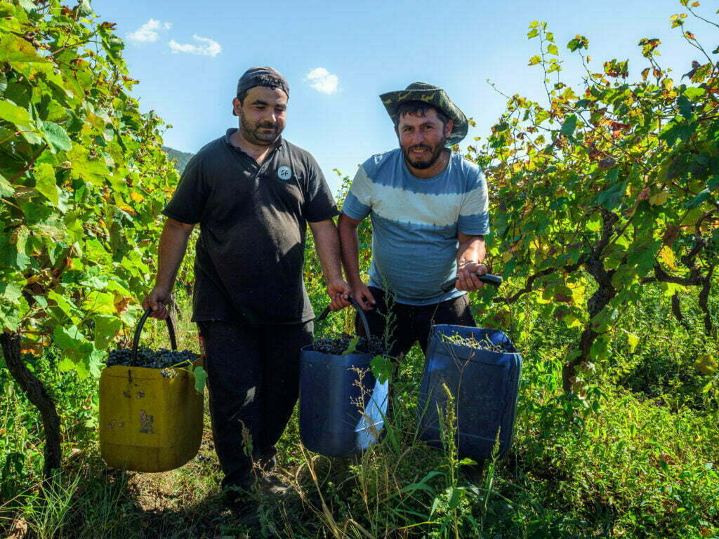 The Traditional Art of Winemaking